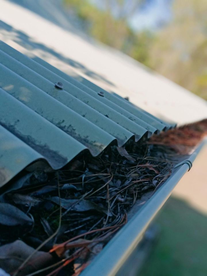 OzVac Gutter Cleaning business image in Doonan, Queensland